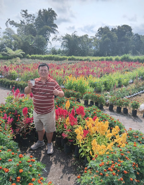 luasnya jalan suci 02